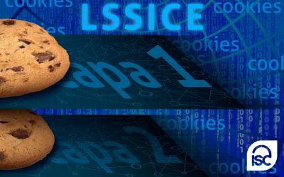 Normativa de cookies: elaboración de la primera capa de información. Curso Consultor Especialista en LSSICE